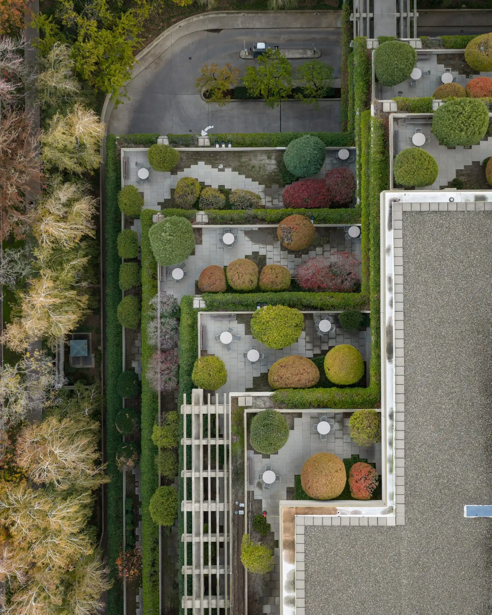 A courtyard garden seen from directly above: hedged beds, clipped shrubs and paving laid out like a plan