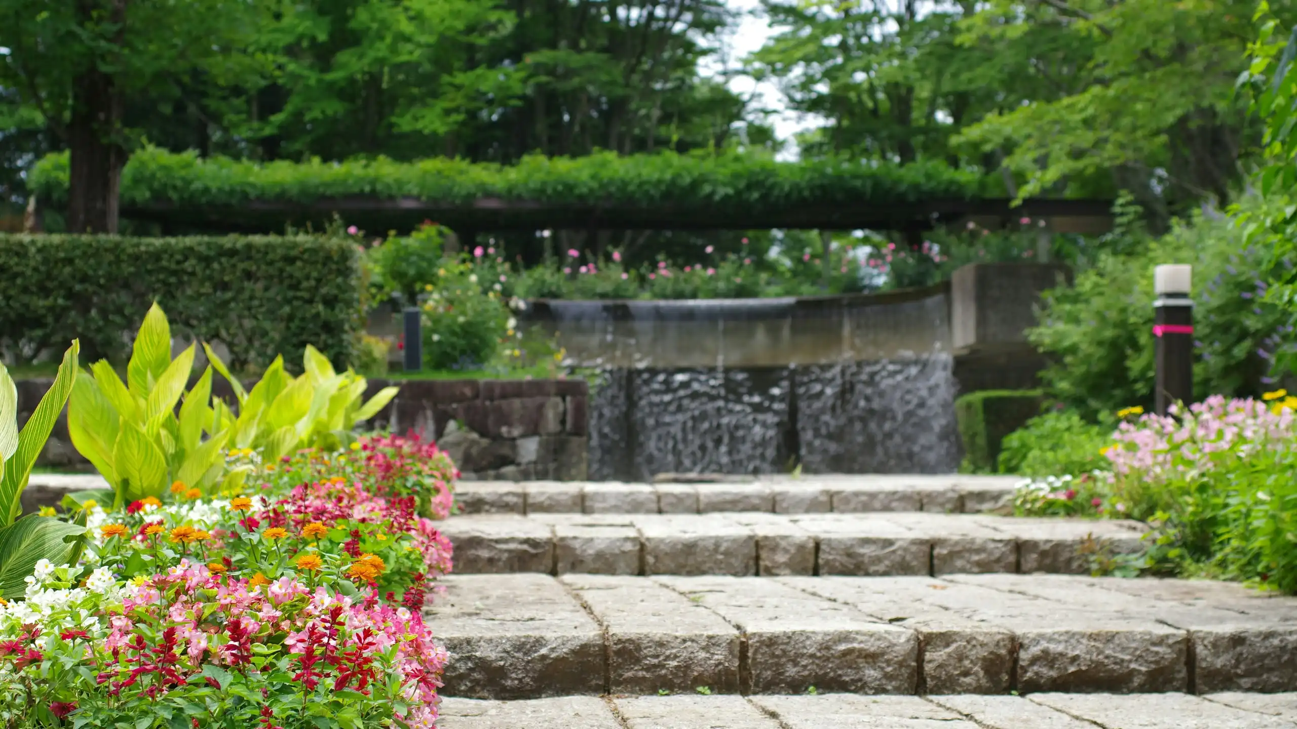 Granite steps rising through flowering beds towards a long wall of falling water