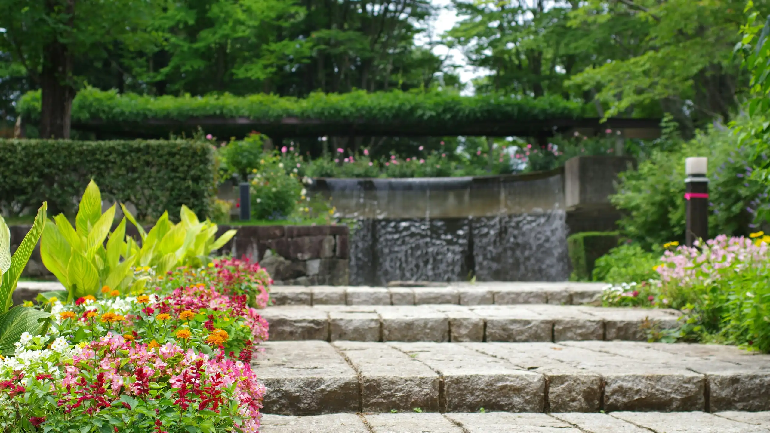 Granite steps rising through flowering beds towards a long wall of falling water
