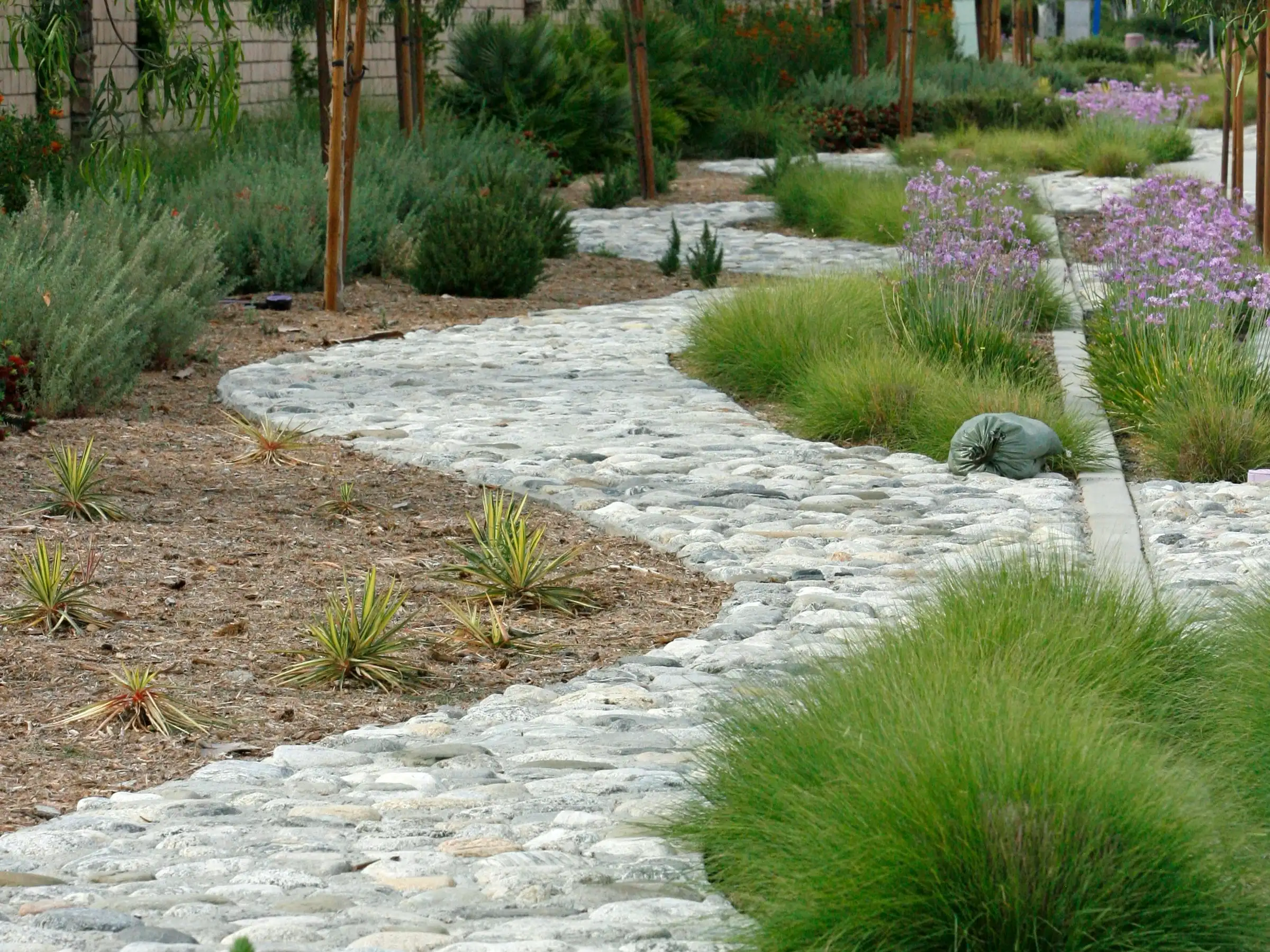 A pale pebble path winding through grasses and low dry-garden planting