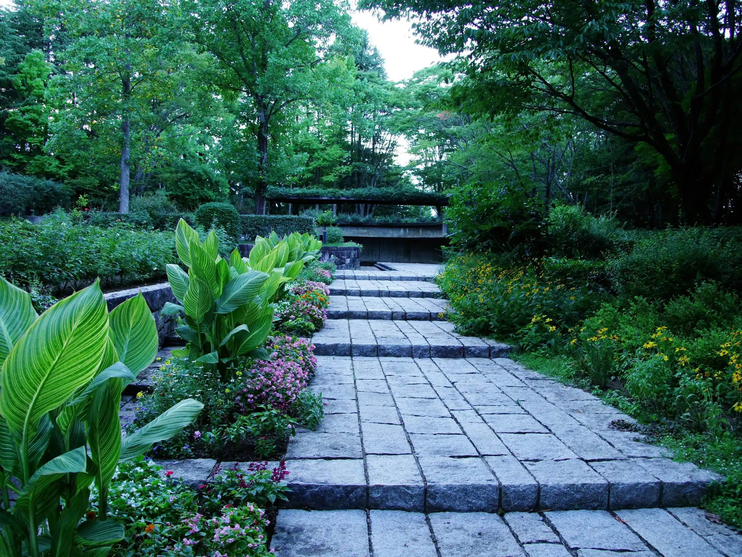 A path of large granite pavers through lush planting, stepping down towards trees